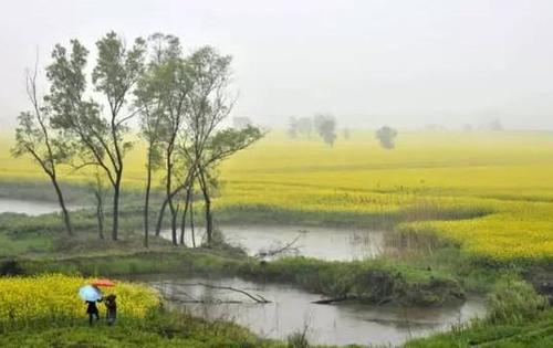 【生态保护补偿】国家发展改革委有关负责人解读生态保护补偿机制