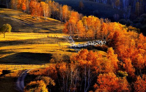 “十三五”期间我国森林旅游产业快速发展