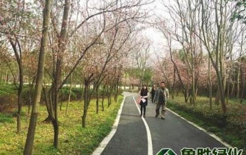 47家单位获评中国森林氧吧