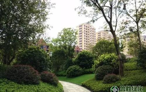 植物与景观元素搭配实景图