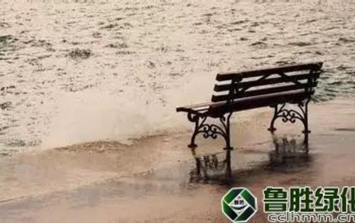 不羡慕别人，做最好的自己！