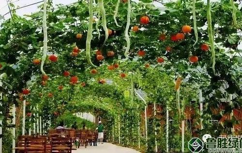 农业部、财政部要求做好2016年现代农业生产发展等项目实施工作