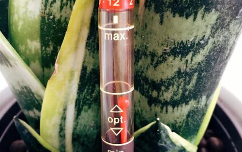 鲁胜新型无土水培产品特点