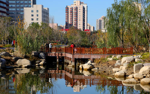 开窗见绿 推门进园