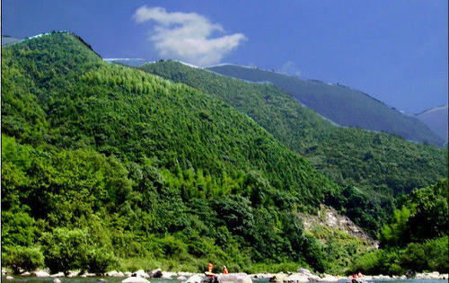 中共中央办公厅 国务院办公厅印发《关于建立 以国家公园为主体的自然保护地体系的指导意见》