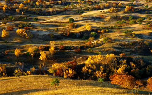 京津风沙源治理工程20年累计完成营造林902.9万公顷 工程区森林覆盖率提高8个百分点